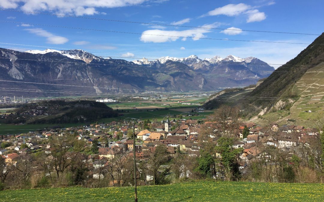 Stop aux plantes envahissantes à Alpes vivantes à Ollon