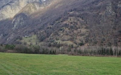 Plantations d’arbres fruitiers et Buissons à St-Maurice en 2023 et 2024