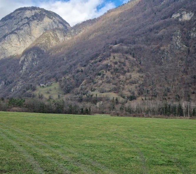 Plantations d’arbres fruitiers et Buissons à St-Maurice en 2023 et 2024